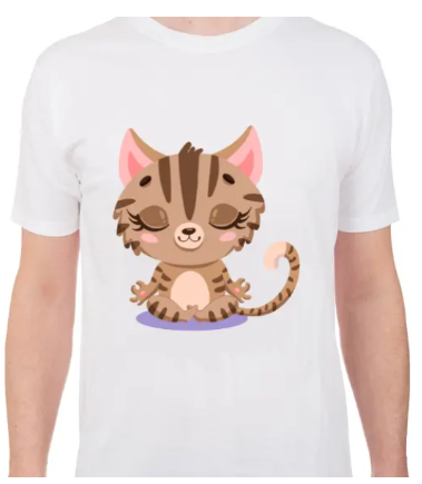 Use Soul Equilíbrio